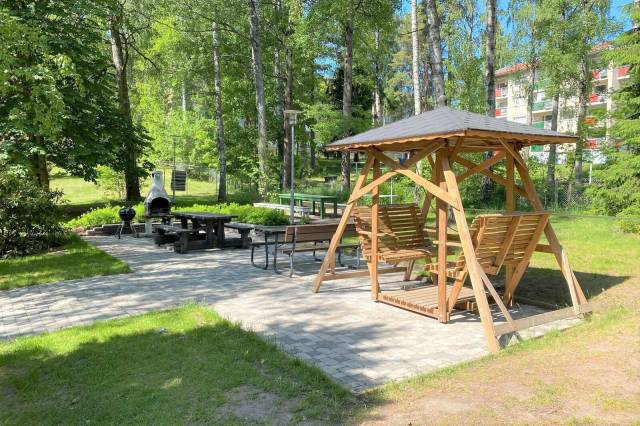 Kesäkuva pihalta